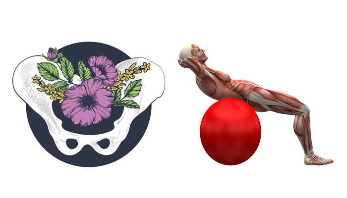 جلسات فیزیوتراپی کف لگن